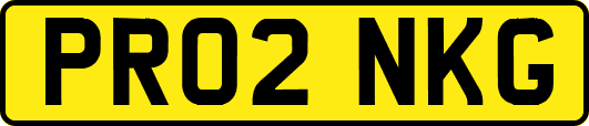 PR02NKG