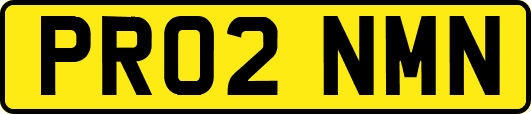 PR02NMN