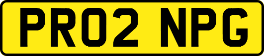 PR02NPG