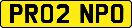 PR02NPO
