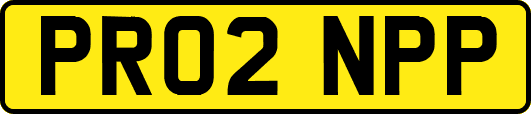 PR02NPP