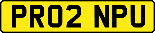 PR02NPU
