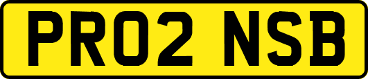 PR02NSB