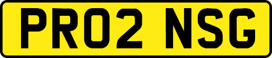 PR02NSG
