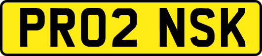 PR02NSK