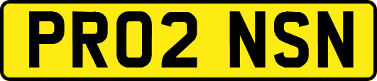 PR02NSN