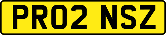 PR02NSZ