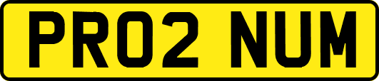 PR02NUM