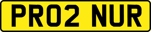 PR02NUR