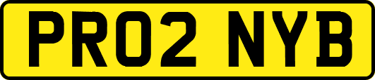 PR02NYB
