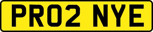 PR02NYE