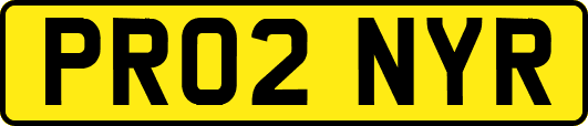 PR02NYR