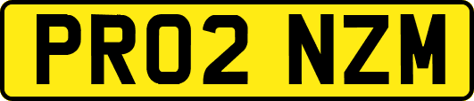 PR02NZM