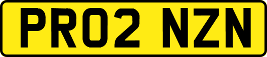 PR02NZN