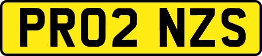 PR02NZS