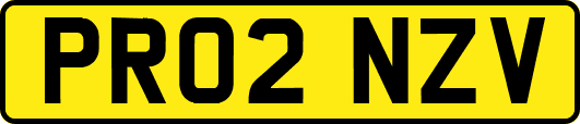 PR02NZV