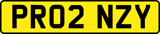 PR02NZY