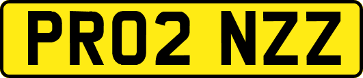 PR02NZZ