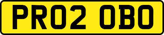 PR02OBO