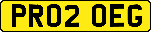 PR02OEG