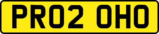 PR02OHO