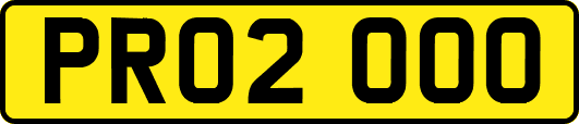 PR02OOO