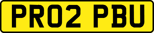 PR02PBU