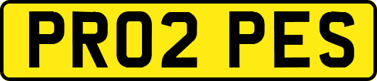 PR02PES