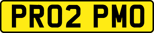 PR02PMO