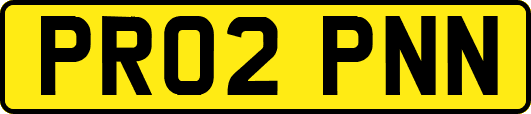 PR02PNN