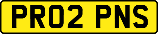 PR02PNS