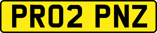 PR02PNZ