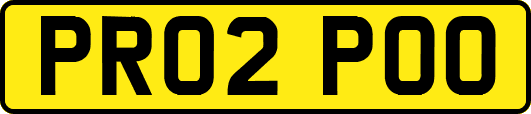 PR02POO