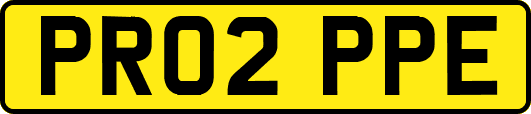 PR02PPE