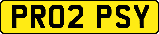 PR02PSY