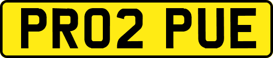 PR02PUE