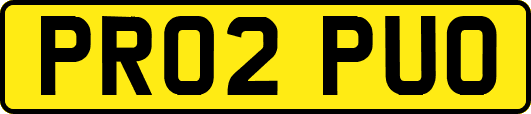 PR02PUO