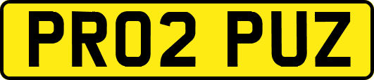 PR02PUZ