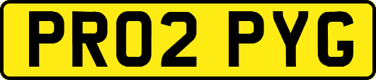 PR02PYG