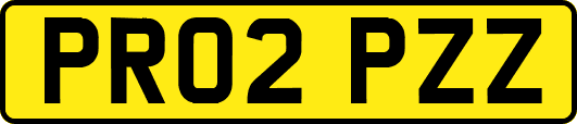 PR02PZZ