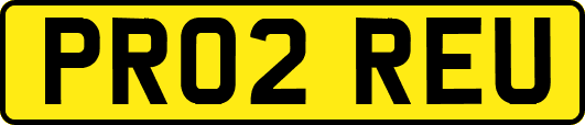 PR02REU