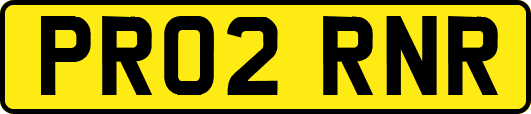 PR02RNR