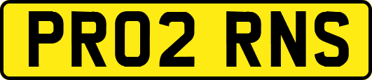 PR02RNS
