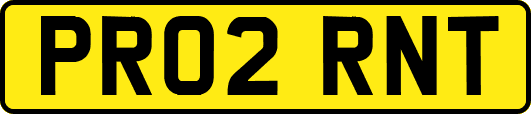 PR02RNT