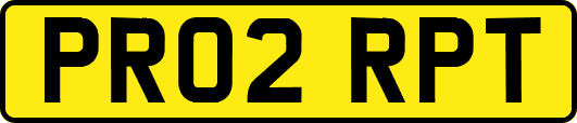 PR02RPT