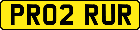 PR02RUR