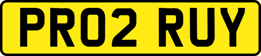 PR02RUY