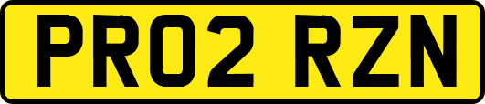 PR02RZN