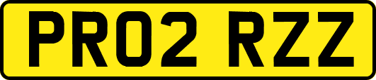 PR02RZZ