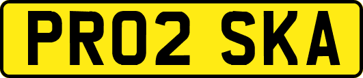 PR02SKA